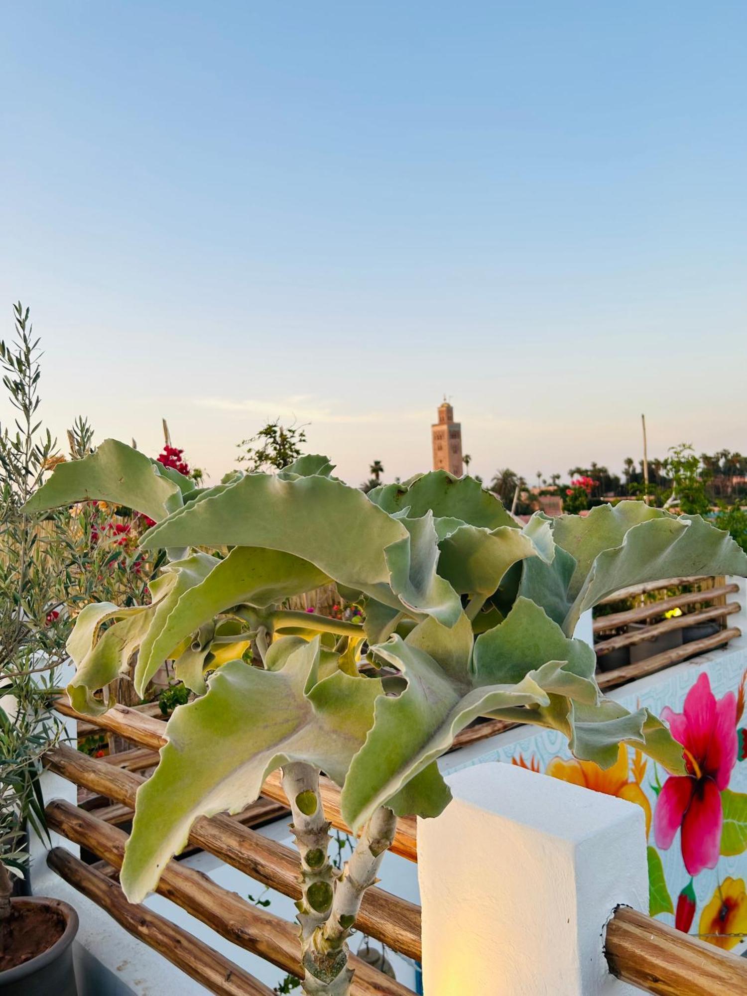 Riad Tsar Mimoun Marrakesch Exterior foto